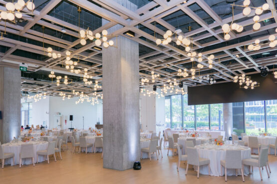 The Future of Aesthetic Leadership